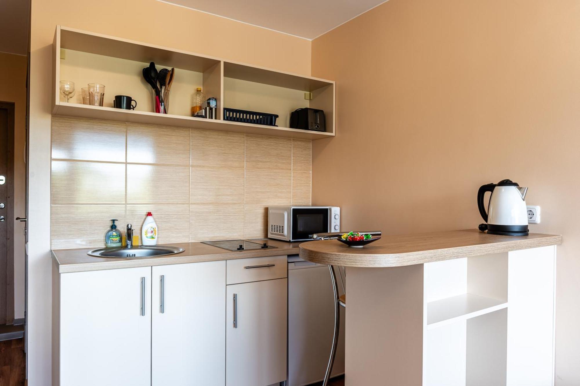Studio Apartment Kaunas Luaran gambar