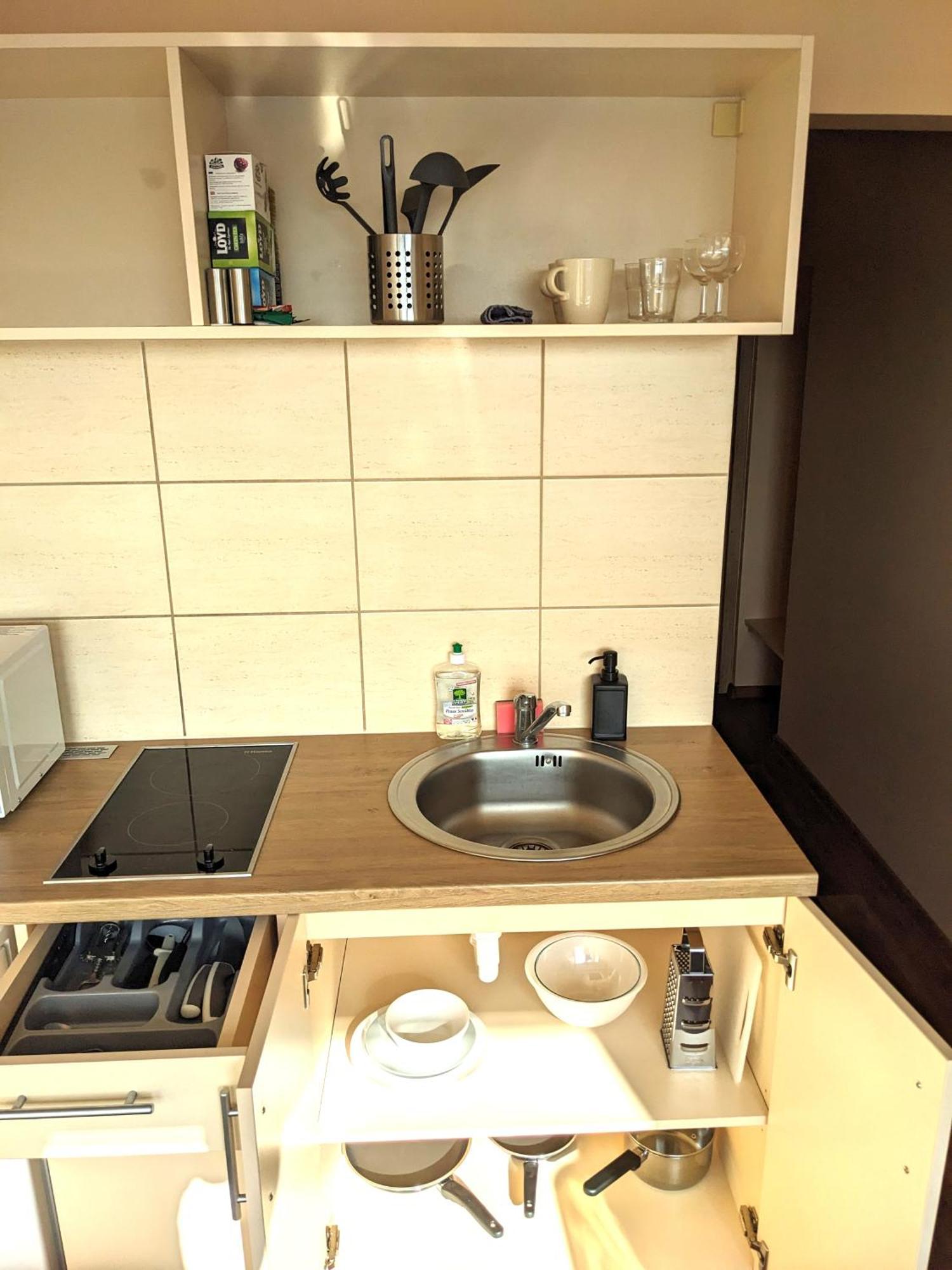 Studio Apartment Kaunas Luaran gambar